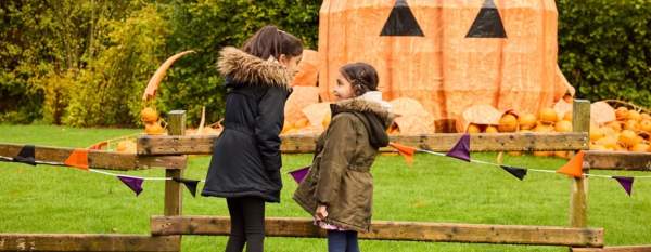 Pumpkin Picking Near Manchester: The Best Pumpkin Patches to Visit This Autumn 2026