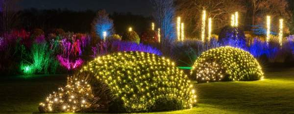 RHS Glow at RHS Garden Bridgewater: Magical Winter Lights, UK Premieres & Festive Fun (2025 Guide)