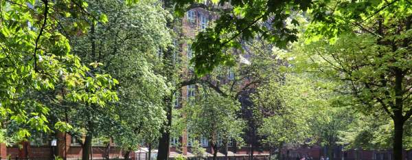 The Best Picnic Spots in Manchester (2026): Parks, Gardens & Takeaway Food Nearby