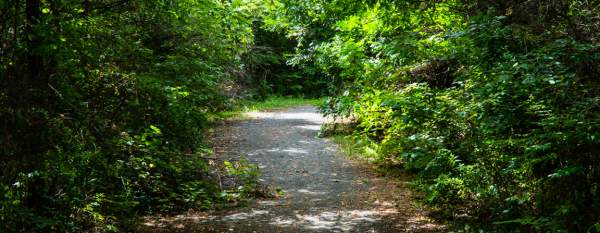 Saxon Trail path