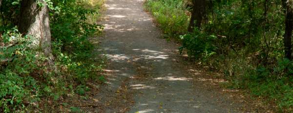 Shaded Saxon Trail