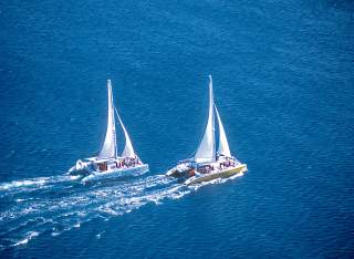 Rapsody Tours, Cruise and Charter Negril