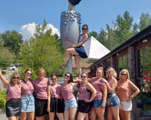 A Grape Experience Wine Tours