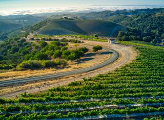 Traveling in Paso Robles Wine Country