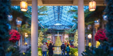 A Longwood Christmas