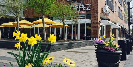 Del Pez Gastropub - Wilmington Riverfront