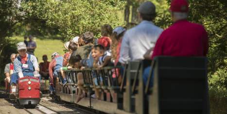 Train Day at the Marshall Steam Museum