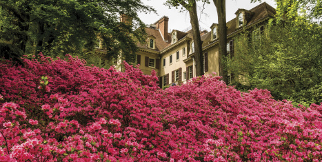 Winterthur Museum, Garden & Library