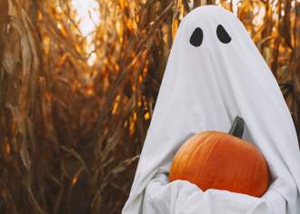 Haunted Mazes and Corn Mazes in PA