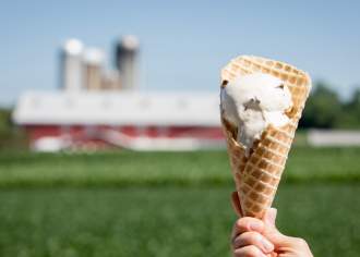 ice cream