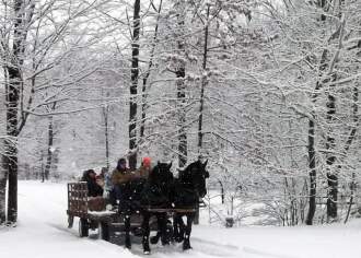 8 Must-Attend Maple Festivals to Sweeten Your Spring