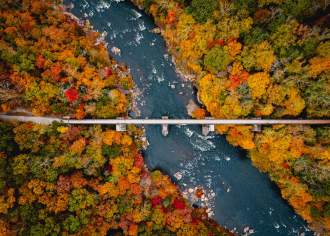 Amazing Places to View Fall Foliage in PA