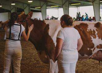 Woman petting a cow in a hay-filled arena with people and cows standing around them.