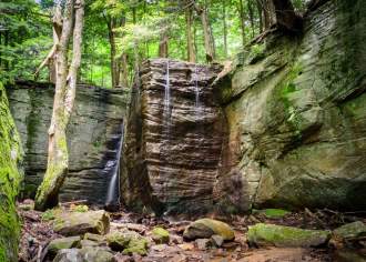 Allegheny National Forest Travel Guide