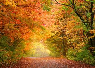When and Where to View the Best Fall Foliage in PA