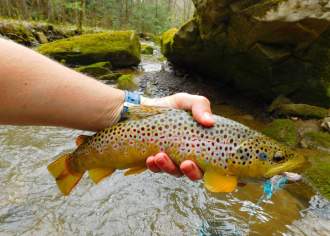 Top Places to Fish in Pennsylvania
