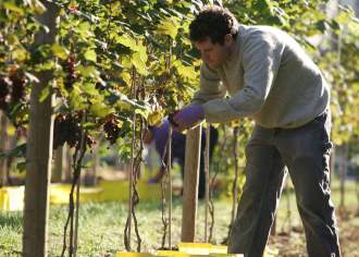 Sip, Sip Hooray! 4 Ways to Celebrate PA Wine Month