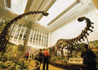 Happiness on the Horizon: Hands-On Learning Attractions