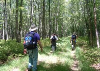 Pennsylvania's Best Backpacking