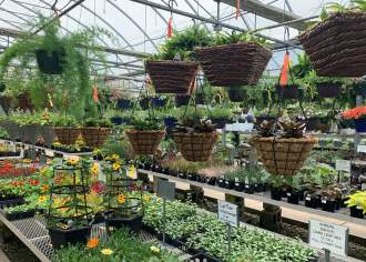 21 Immunity Boosting Greenhouses & Nurseries to Visit This Spring