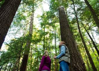 Searching for the Ancients