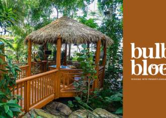 Tropical Staycation