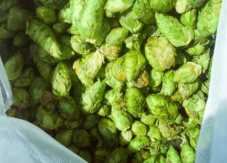 4 Fall Beer Styles You Need to Drink