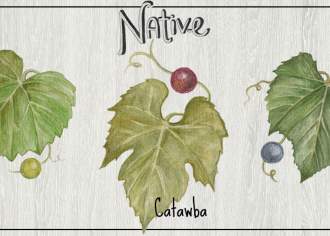The Ultimate Guide to Pennsylvania Grapes