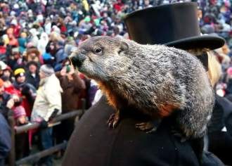 A groundhog day sits on a man wearing a top hat's shoulders in front of a large