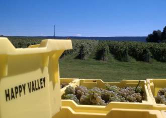 Discover Your New Favorite Wine in Pennsylvania