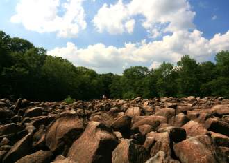 A field of rocks