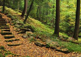 Escape to the PA Wilds for a Romantic Getaway at Gateway Lodge