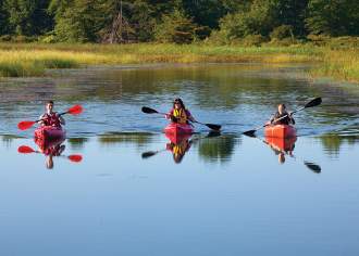 Presque Isle State Park: Tranquility Found