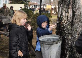 21 Fun Maple Experiences and Festivals to Sweeten Your Spring