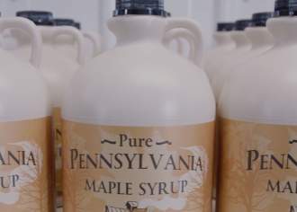 maple syrup