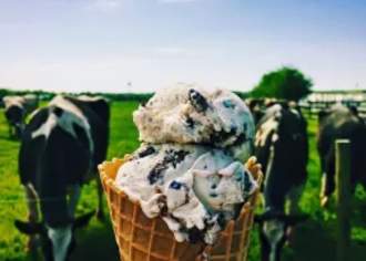Merrymead-Farm-ice cream