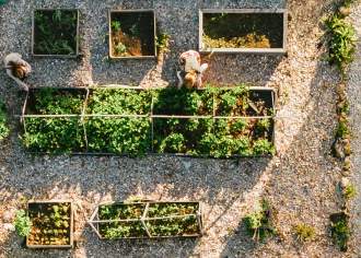 Embrace Your Planting Zone