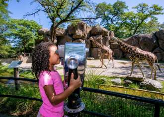 Embrace Your Wild Side at One of Pennsylvania’s Many Epic Zoos