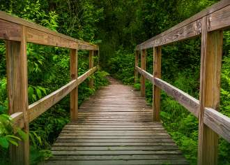 Bridge Trail Codorus State Park Nature