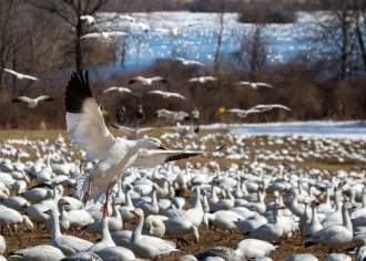 March Events and Festivals in PA