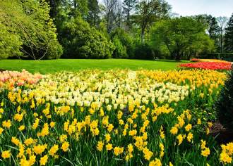 Gardens and Arboretums in Pennsylvania