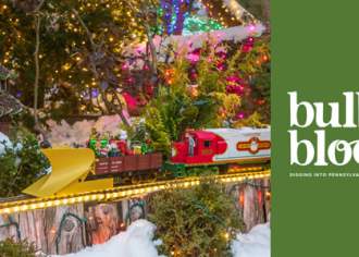 Do Try This at Home: Winter in the Garden