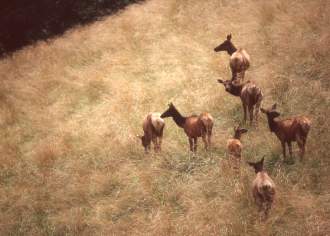 Nature Trip Ideas in Pennsylvania