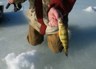 Hooked on Ice Fishing in Pennsylvania