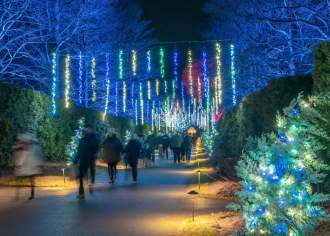 November Events & Festivals