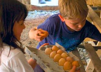 Choose a Pennsylvania Farm Stay