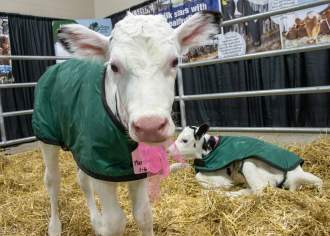 What’s New at the 109th Pennsylvania Farm Show