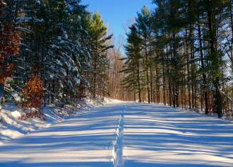 Winter Hikes in PA