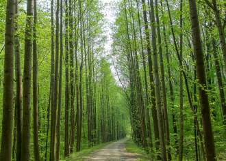 Top Spring Activities in PA State Parks