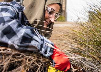 Late Autumn in the Garden